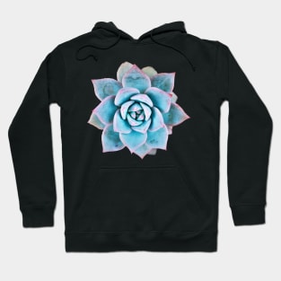 Echeveria blue bird Hoodie